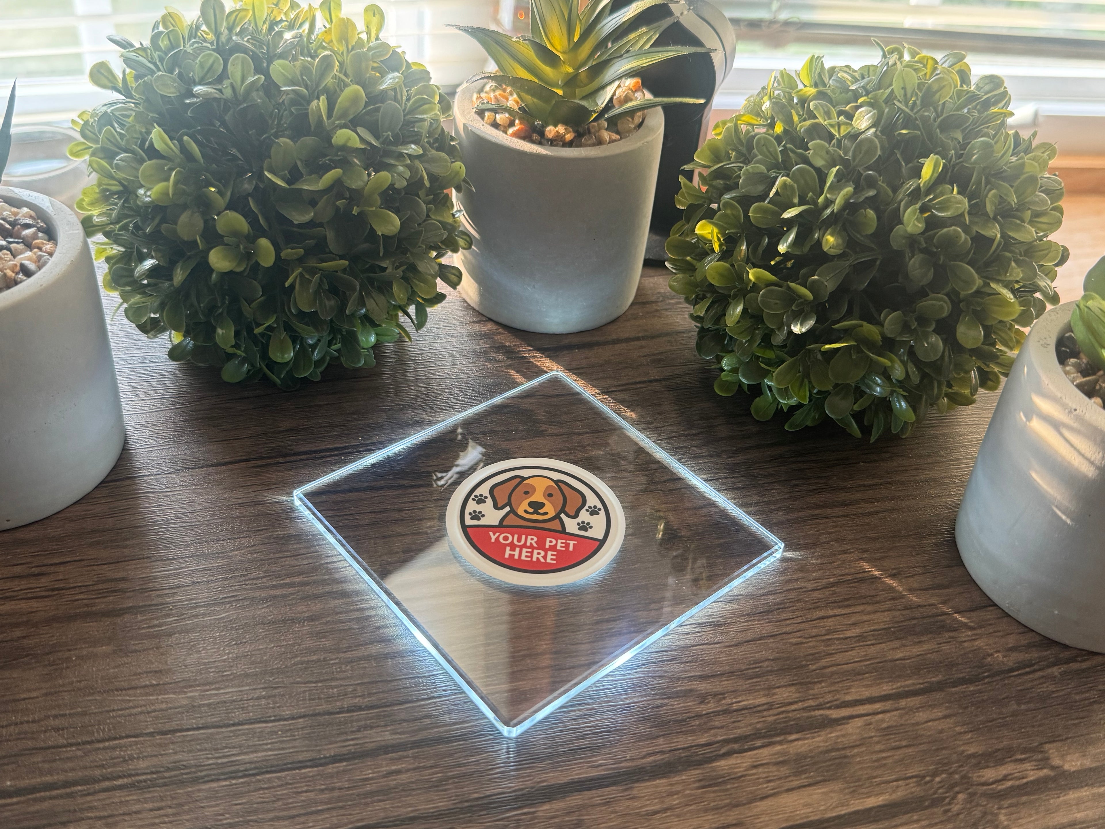Square LED Coaster