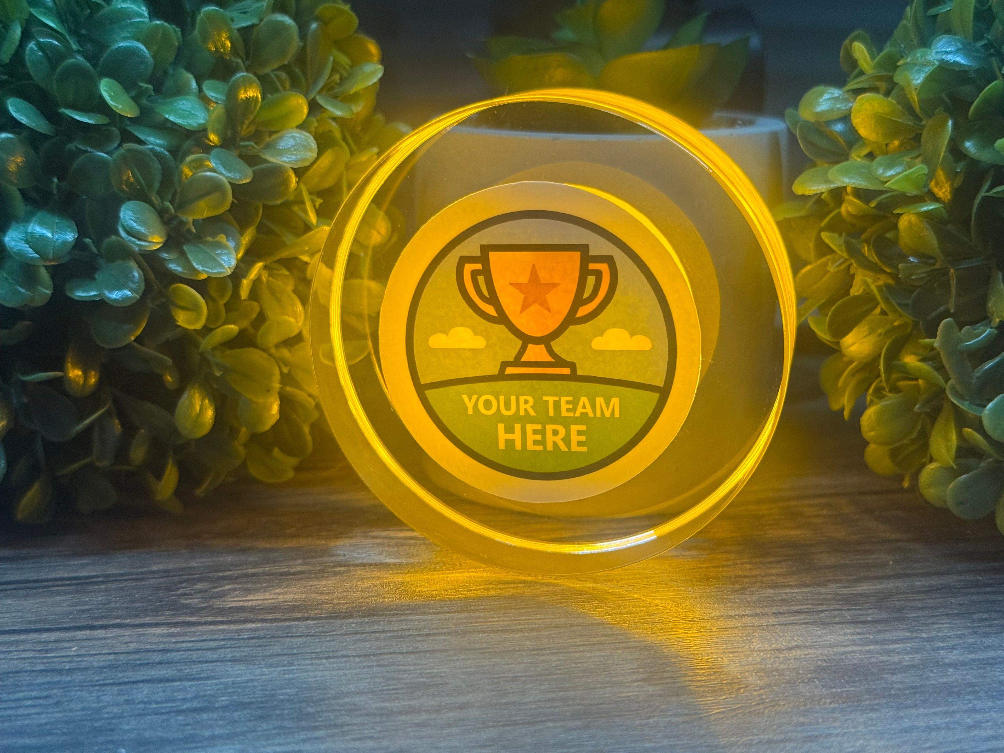 LED Puck Coaster