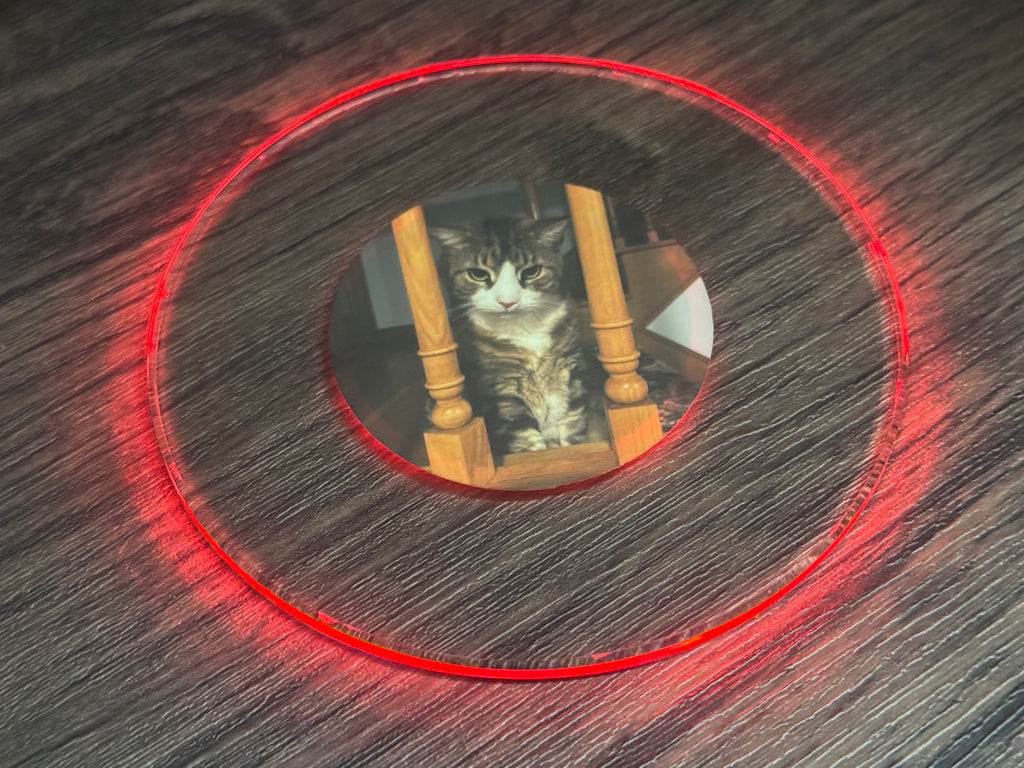 Pets Bundle Pack LED Coasters