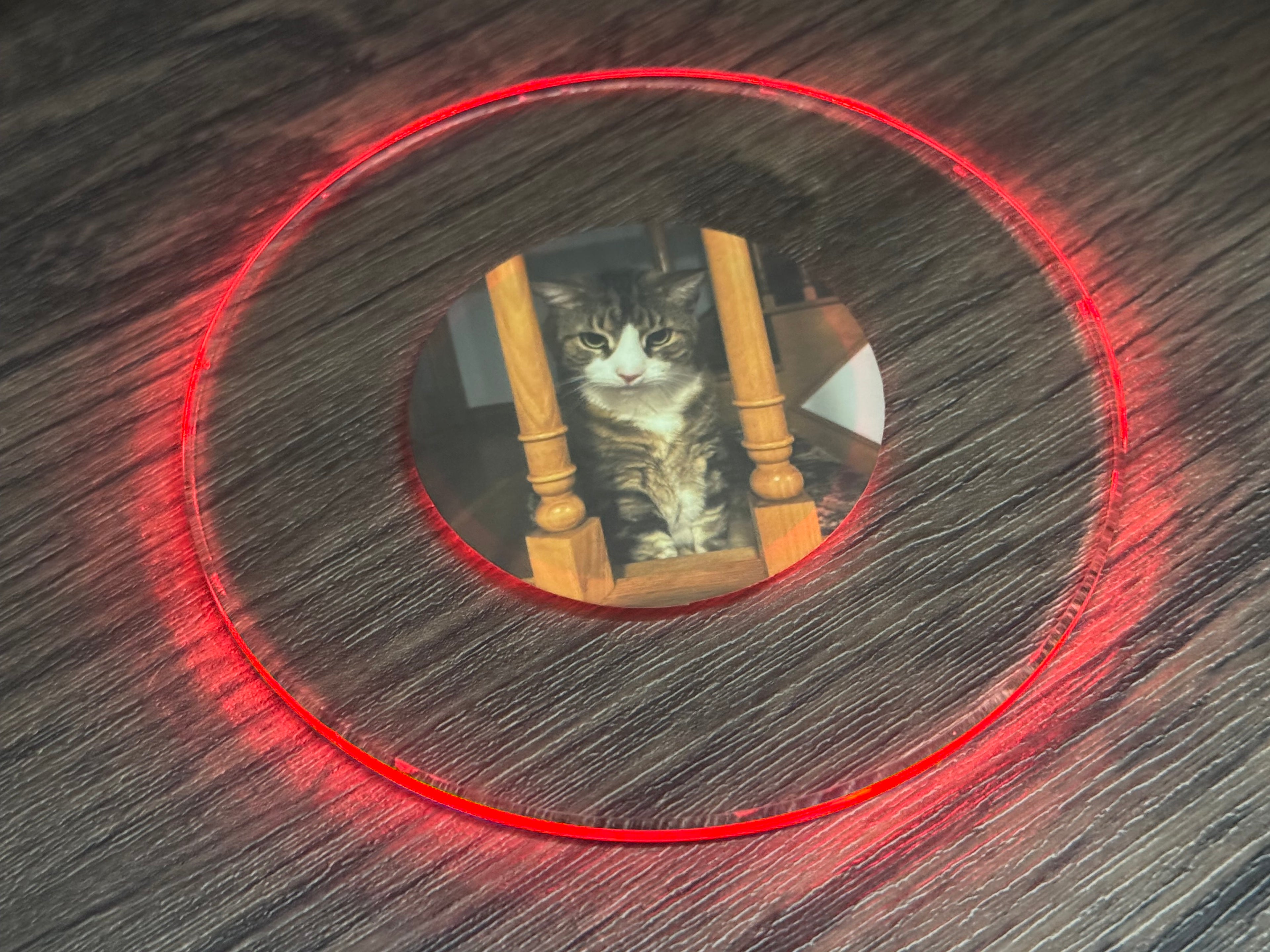 Pets Bundle Pack LED Coasters