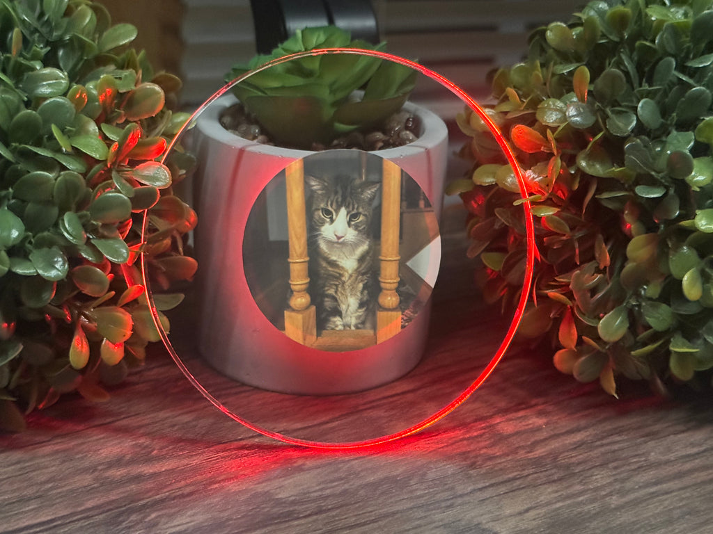 Pets Bundle Pack LED Coasters