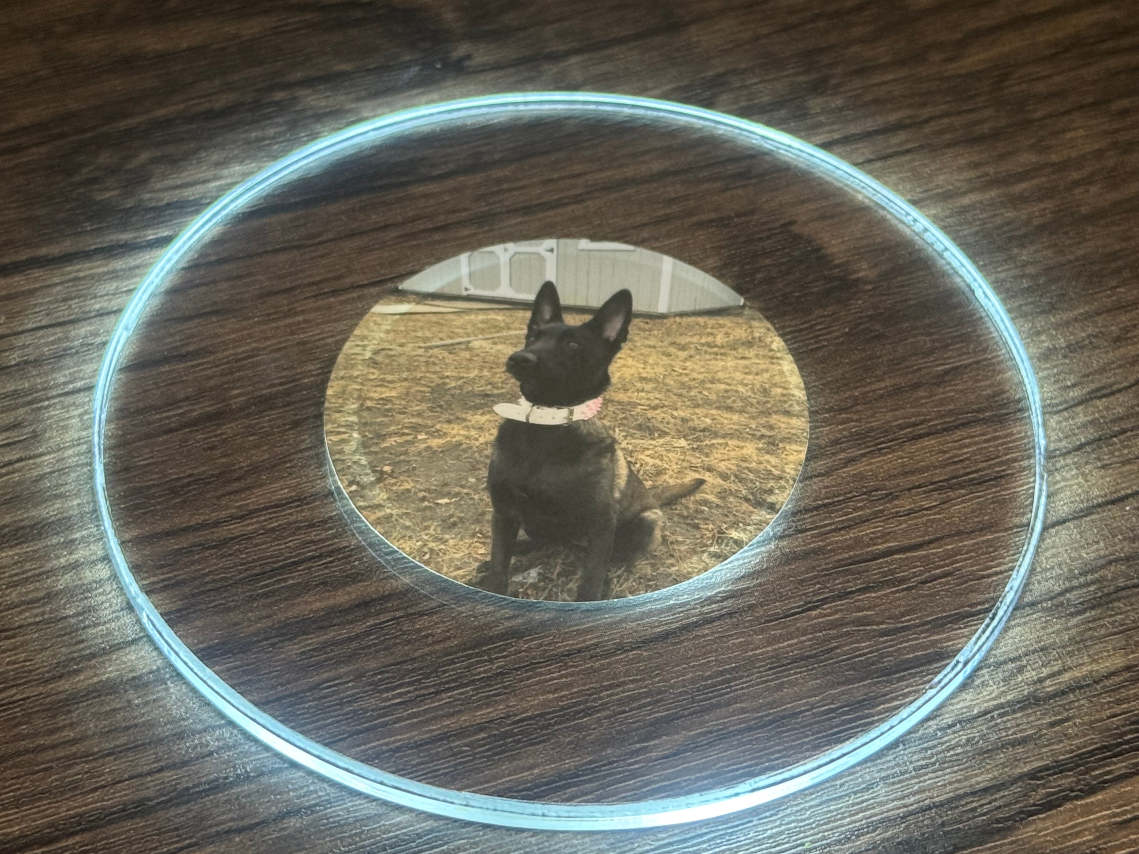 Pets Bundle Pack LED Coasters