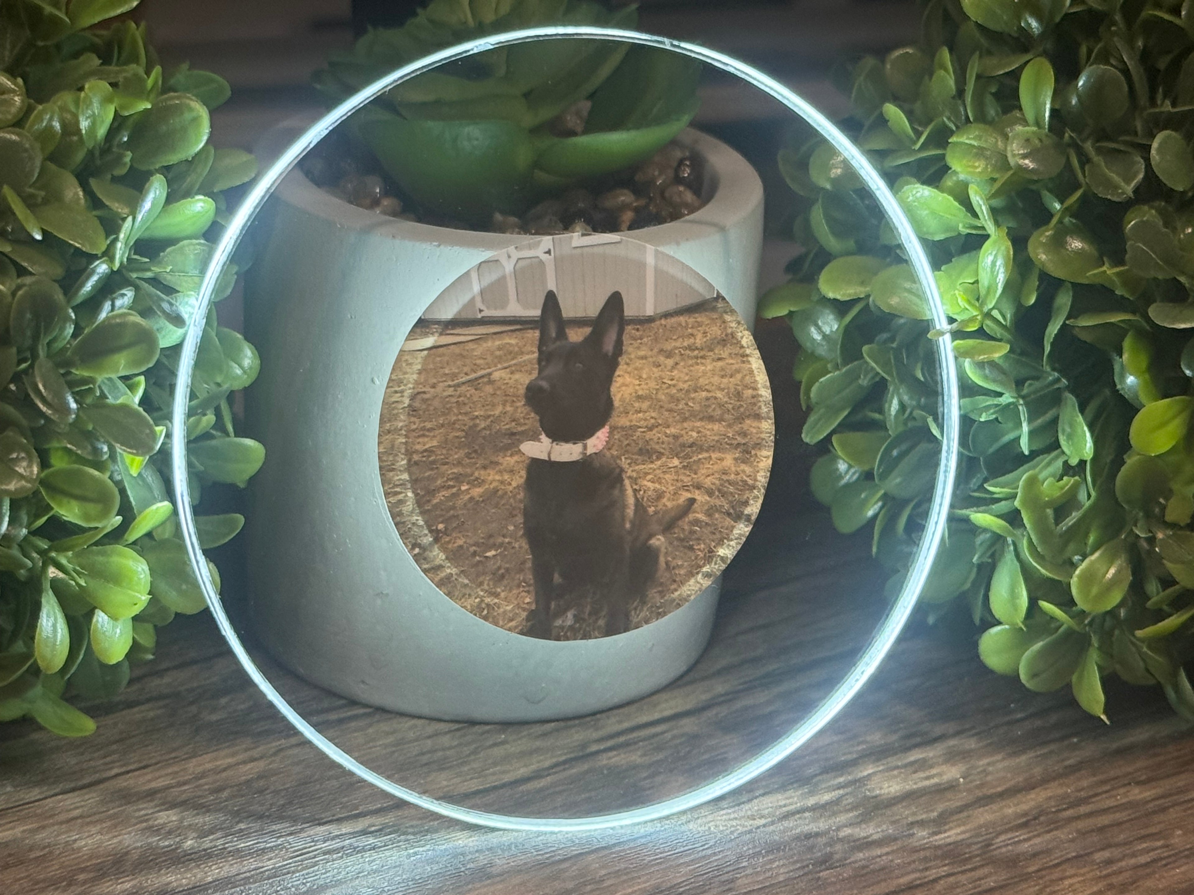 Pets Bundle Pack LED Coasters