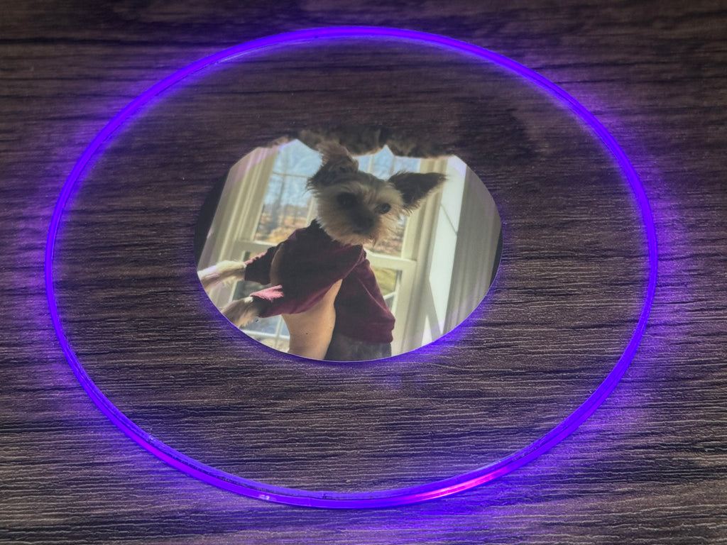 Pets Bundle Pack LED Coasters