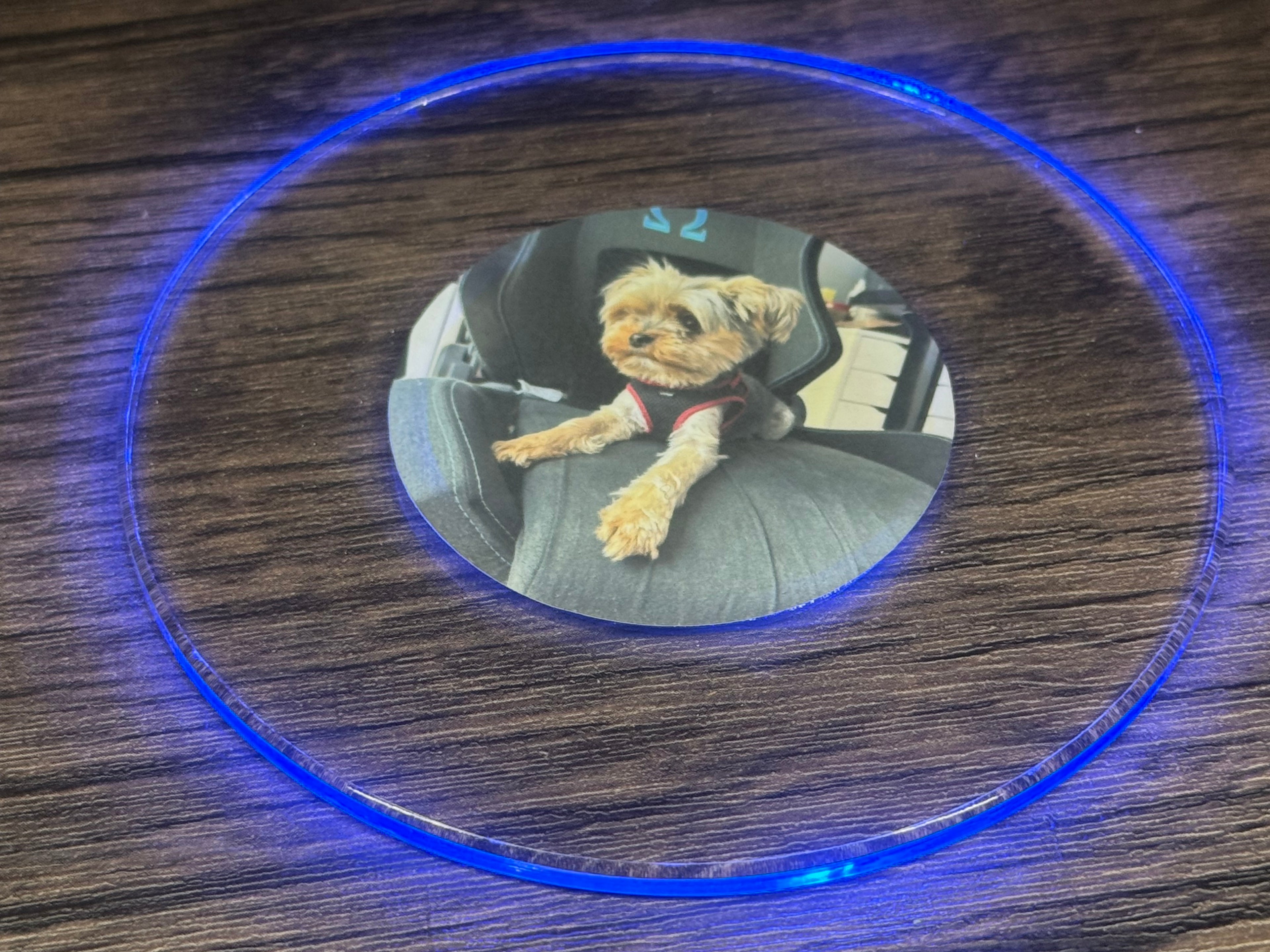 Pets Bundle Pack LED Coasters