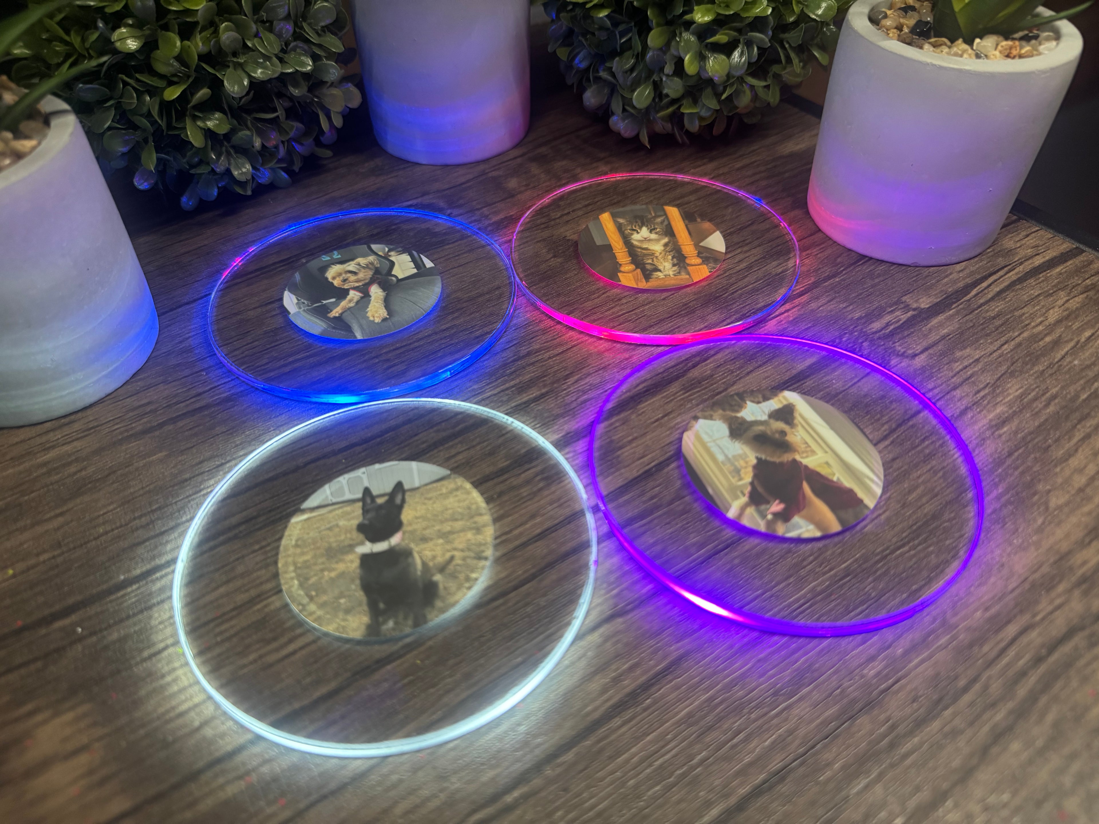 Pets Bundle Pack LED Coasters