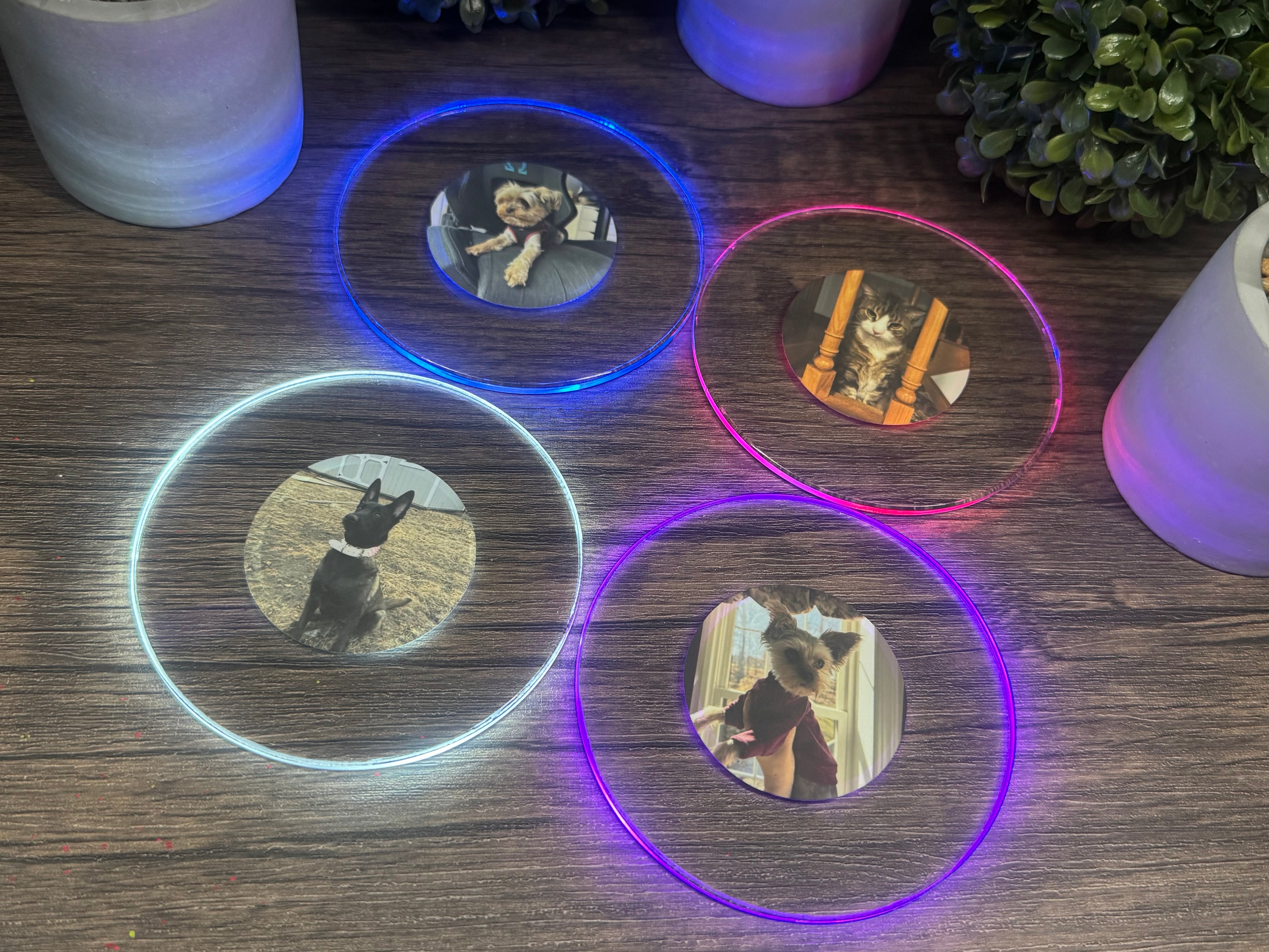 Pets Bundle Pack LED Coasters