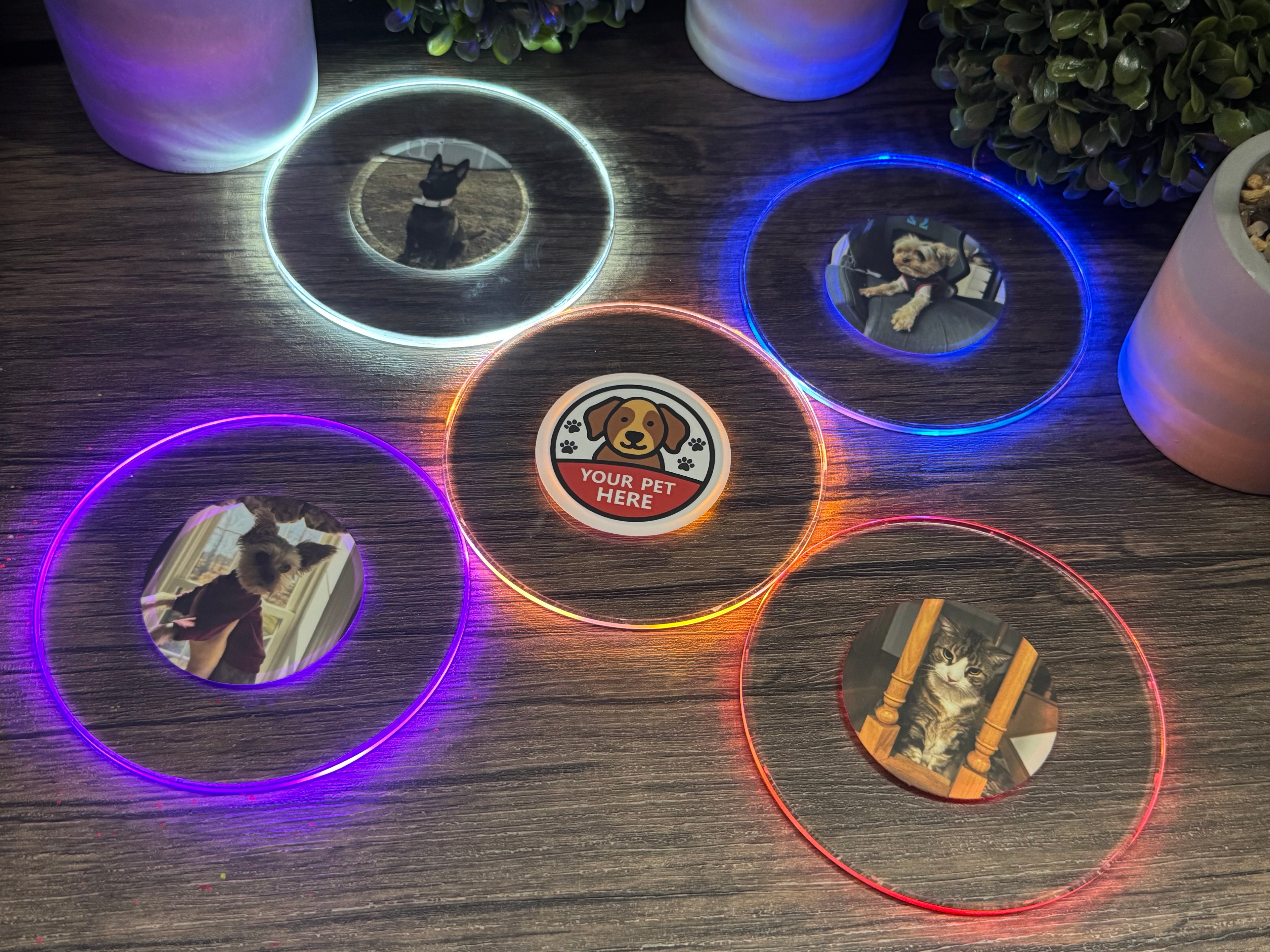 Pets Bundle Pack LED Coasters